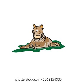cat relaxing illustration color vector design