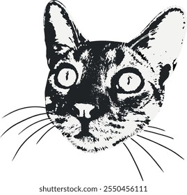 cat in retro photocopy style