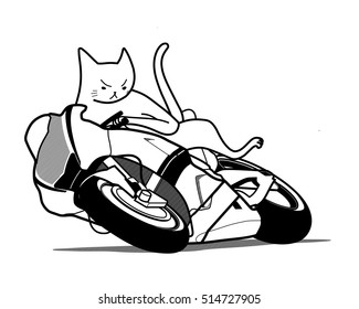 3,061 Motorcycle Cat Images, Stock Photos & Vectors 