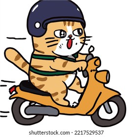 A Cat Riding A Motorcycle. Animal Motorcycle. Speed Travel