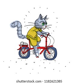 Cat Riding Red Bike Stock Vector (Royalty Free) 1182621385 | Shutterstock