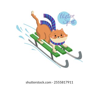 Cat riding a sled. Lettering, winter sports. Funny cartoon kitten. Winter season, snow. Vector graphics. Flat illustration. Background isolated.