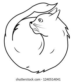 Cat rolling itself as a ball having fun hand drawn doodle artwork