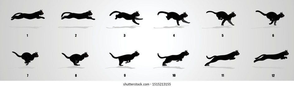 Cat Run Cycle Animation Sequence, Animation Frames