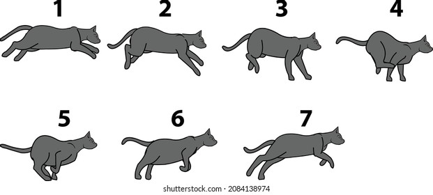 Cat running cycle vector animation