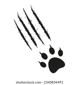 Cat s paw print with traces of scratches and claws. Feline footprint silhouette. Claws scratch scratch. Black and white vector isolated on white background. Design for animal print, banners, posters