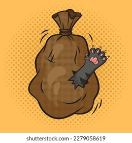 Cat in sack bag poke pinup pop art retro vector illustration. Comic book style imitation.