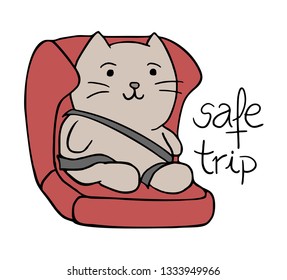 cat in safety seat