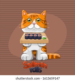 Cat with salmon rolls.  Vector Illustration