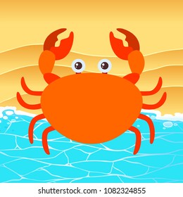 cat the Sandy Beach illustration