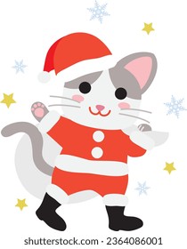 Cat Santa Claus of Christmas