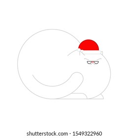 Cat in Santa hat isolated. Christmas and New Year vector illustration