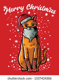 Cat with santa hat vector illustration. Cat santa claus with beard. Funny cat christmas for card or poster. Merry christmas t-shirt design