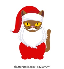 Cat Santa. Pet in Christmas cap. New Year illustration. Xmas template of cute kitty