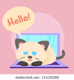 Cat saying hello illustration