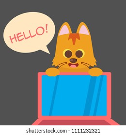 Cat saying hello illustration