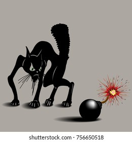 cat was scared of bombs