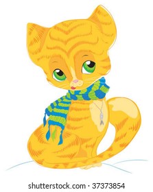 Cat with scarf
