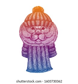 Cat. Scottish fold, british shorthair. Ski, skier animal wearing woolen knitted hat. Christmas time. Cartoon character for little children. Kids print for shirts. Nursery decor.