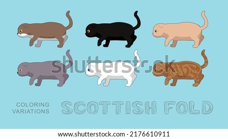 Cat Scottish Fold Coloring Variations Vector Illustration