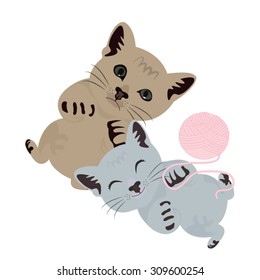 cat Scottish Fold vector illustration.