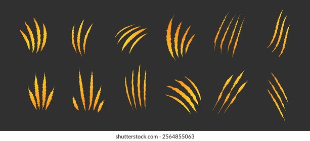 Cat scratch. Golden claw scratches set isolated on black background. Dragon, bear or tiger claw marks. Halloween monster paw scratch trace on surface. Flat vector illustration.