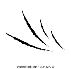 Cat scratch mark in black color. Vector animal nail trace