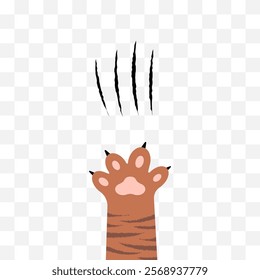 Cat scratch. Pets or wild animal claw marks isolated on transparent background. Lion or tiger scratch marks. Vector Cartoon cat foot print. Wild beast paw marks with sharp fissures texture.