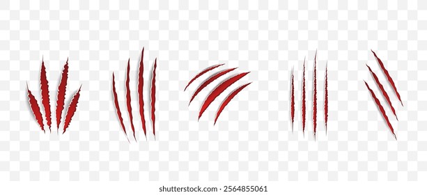 Cat scratch. Realistic set of animal claw marks isolated on transparent background. Red marks of cats tiger lion or wild animals. Flat vector illustration.