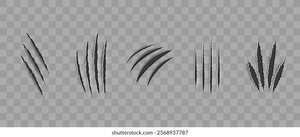 Cat scratch. Realistic set of animal claw marks isolated on transparent background. Black marks of cats tiger lion or wild animals. Flat vector illustration.