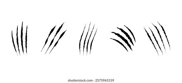 Cat scratch. Realistic set of animal claw marks isolated on white background. Black marks of cats tiger lion or wild animals. Flat vector illustration.