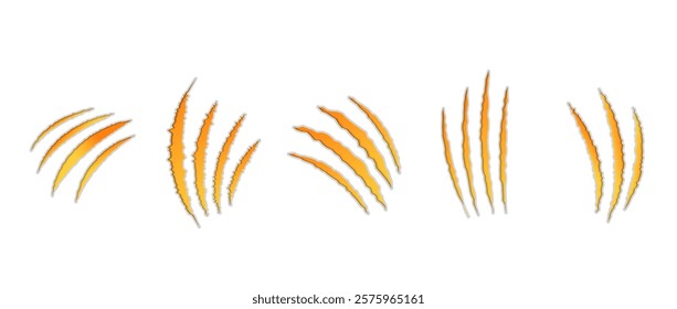 Cat scratch. Realistic set of animal claw marks isolated on white background. Yellow marks of cats tiger lion or wild animals. Flat vector illustration.