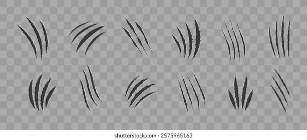 Cat scratch. Realistic set of animal claw marks isolated on transparent background. Black marks of cats tiger lion or wild animals. Flat vector illustration.