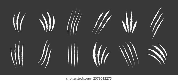 Cat scratch. Realistic set of animal claw marks isolated on black background. White marks of cats tiger lion or wild animals. Flat vector illustration.