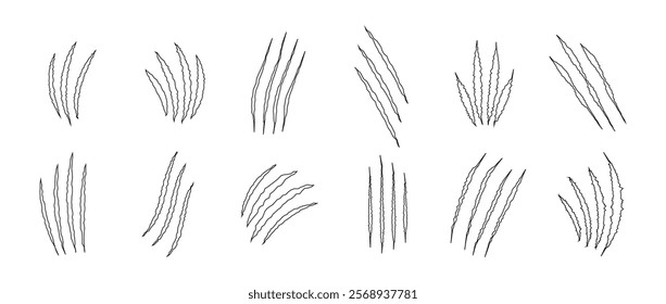 Cat scratch. Set of outline black bloody animal claw marks isolated on white background. Bear or tiger claws trails. Flat vector illustration.