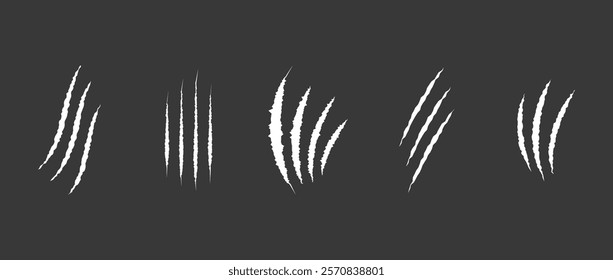 Cat scratch. Set of white bloody animal claw marks isolated on black background. Bear or tiger claws trails. Flat vector illustration.