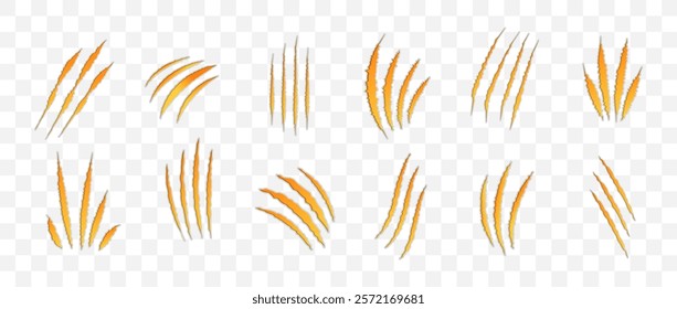 Cat scratch. Set of yellow bloody animal claw marks isolated on transparent background. Bear or tiger claws trails. Flat vector illustration.