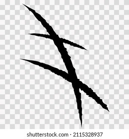 Cat scratches. Animal claw marks in black. Monster or dinosaur attack slash stripes on transparent background. Vector illustration.