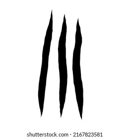 Cat scratches. Black claws animal scratch, Torn paper. Cat claws trace. Vector illustration on black background.