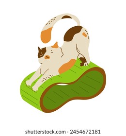 The cat scratches its claws on the scratching post. A comfortable and active life for a pet. Design for stores with pet products. Vector illustration isolated on transparent background.