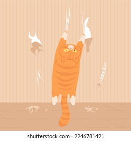 Cat scratching wall. Sliding down or hanging kitten on claw slashed wallpaper, pet animal behavior problems, scared kitty climb destroying walls funny character vector illustration of animal cat pet