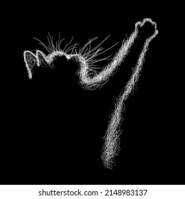 Cat scribble art illustration on black background
