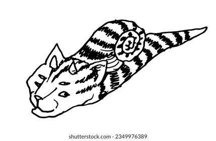 Cat Seal Sea Ocean Underwater Toothy Fluffy Cute Snail Black Striped