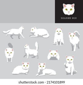 Cat Selkirk Rex Cartoon Vector Illustration Color Variation Set