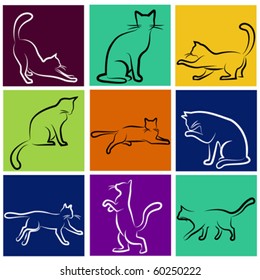 cat series