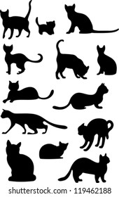 cat set