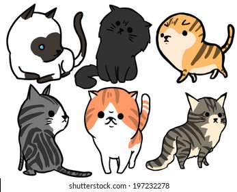 Cat Set 3 Maine coon, American short hair, siamese cat, Persian, Scottish fold,Exotic 