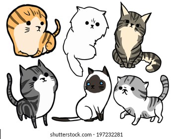 Cat Set 4 Maine coon, American short hair, siamese cat, Persian, Scottish fold,Exotic 