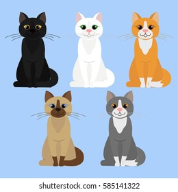 Cat set. Big collection of different kittens. White, black. red. siamese, grey cats. Cartoon character. Domestic animal. Flat vector stock illustration