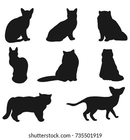 cat set black